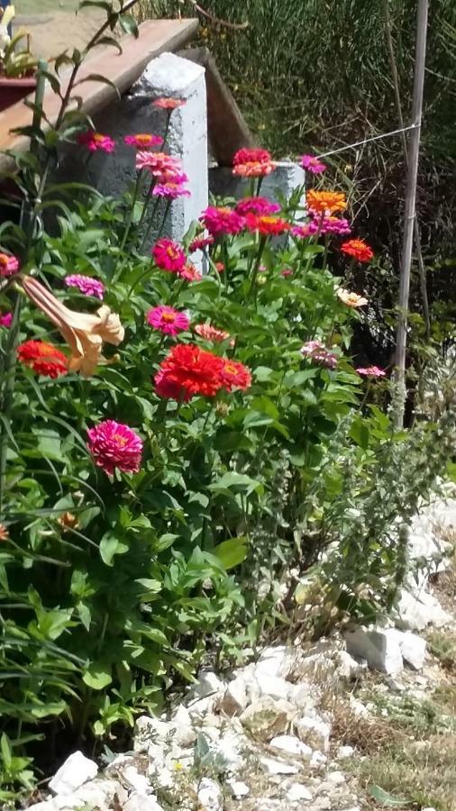 منزل الضيف كولفيوريتو  في Il Cardo المظهر الخارجي الصورة